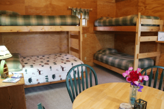 standard-cabin